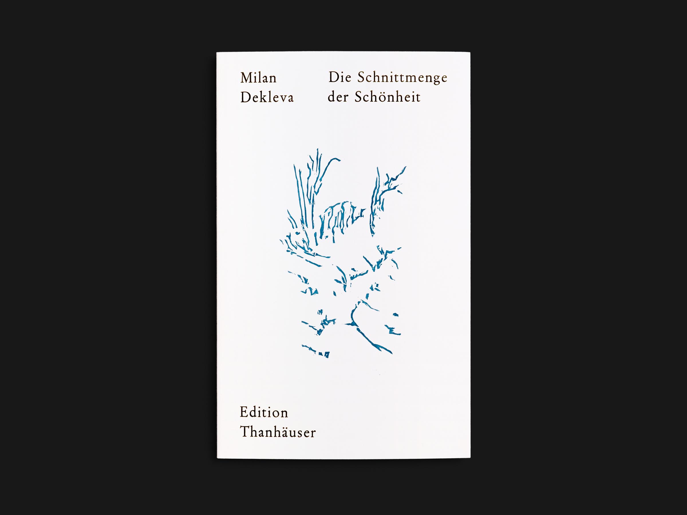 Das Buch Die Schnittmenge der Schönheit von Milan Dekleva erschienen im Verlag Edition Thanhäuser