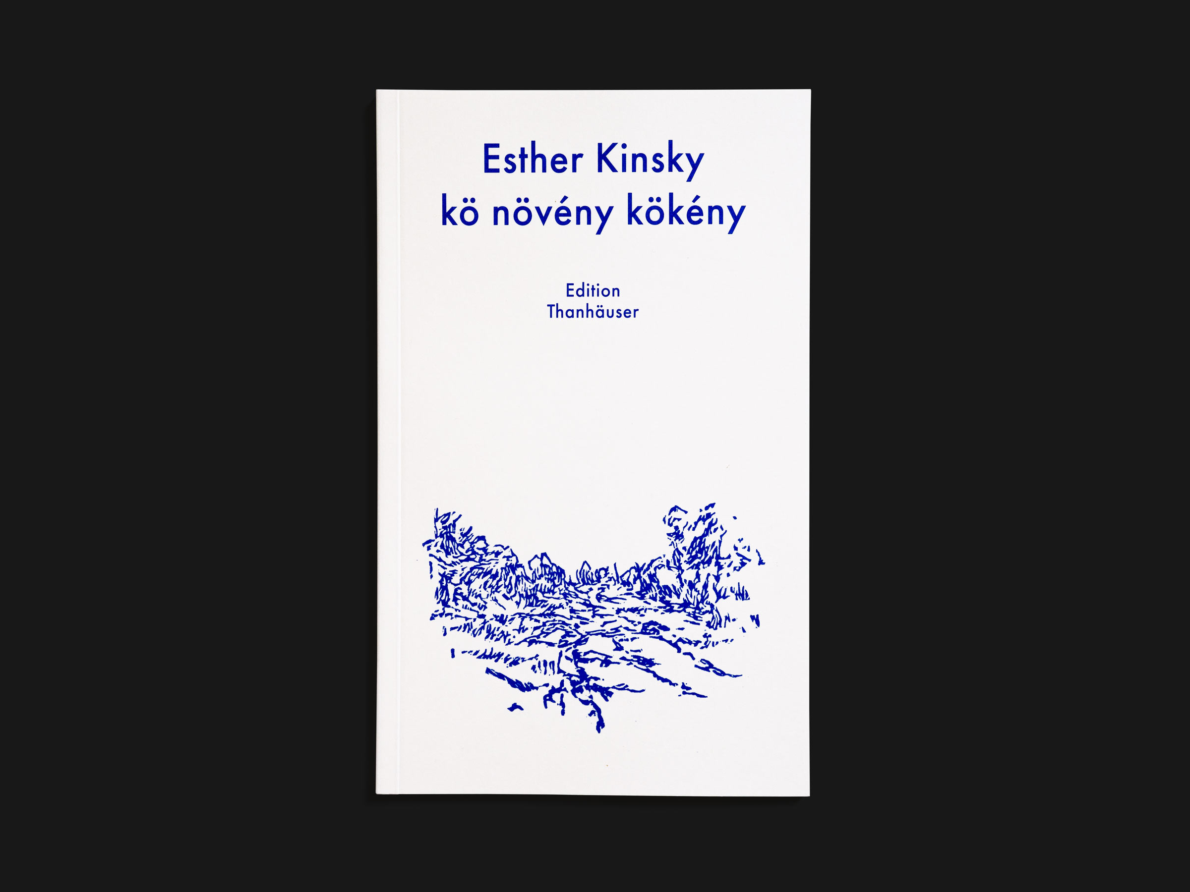 Das Buch kő növény kökény von Esther Kinsky erschienen im Verlag Edition Thanhäuser